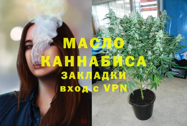 гашик Няндома