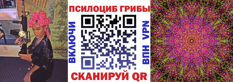 МЕГА зеркало  Электрогорск  Псилоцибиновые грибы MAGIC MUSHROOMS  купить наркотики сайты 