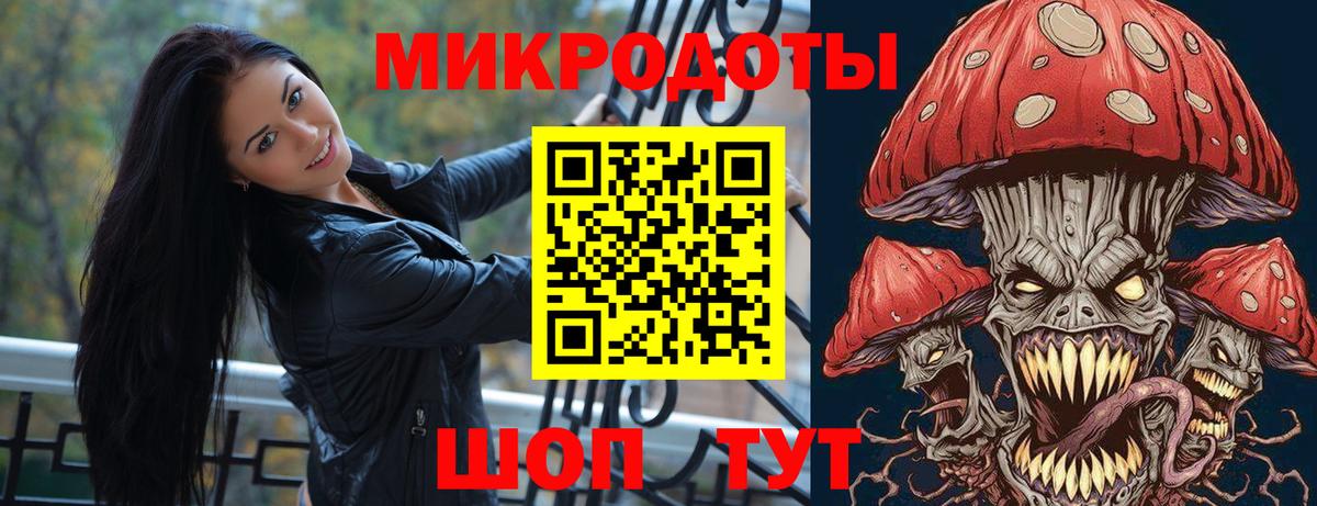 Электрогорск  Галлюциногенные грибы прущие грибы  Вход с VPN 